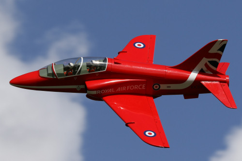 Tony Nijhuis 50" BAE Hawk