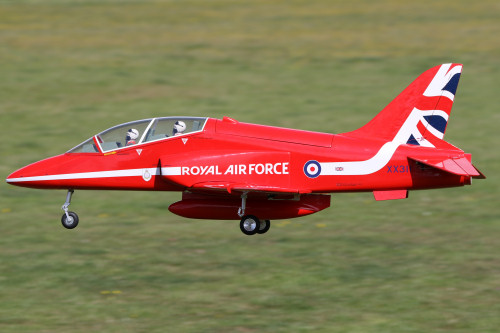 Tony Nijhuis 50" BAE Hawk