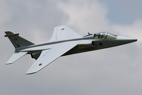 Tony Nijhuis 29" EDF Jaguar GR.1